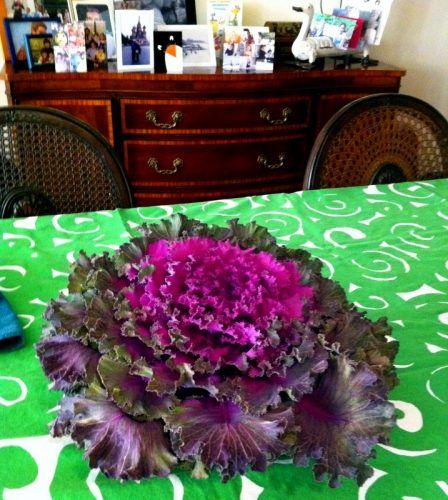 Back Camera Aunt Carol's crazy vegetable "Flower" centerpiece!