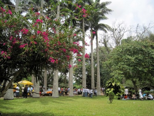 #7: Aburi, Ghana.  A stunning climate and park.