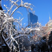 Snow tree hugs Hancock.