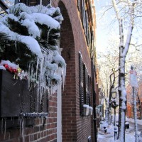 Hey icy holly.