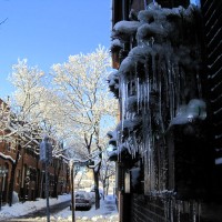 Ice waterfalls on plants.