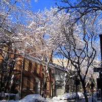 Sun and snow = glitter.