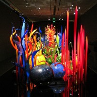 IMG_5850