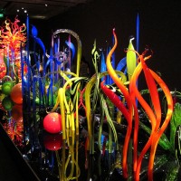 IMG_5854