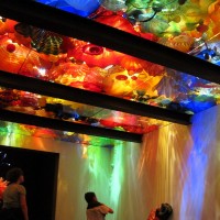 IMG_5872