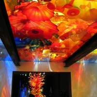 IMG_5880
