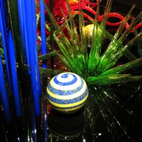 IMG_5915