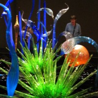 IMG_5916