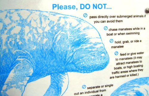 Sign 2: DO NOT RIDE THE MANATEES. Sign 2: DO NOT RIDE THE MANATEES.