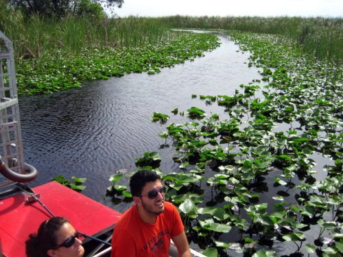 Our airboat cut through the thick, emerald green water plants.