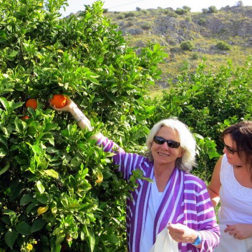 We began to clasp the round fruit and pluck it!