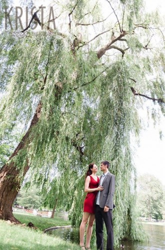 By the willows in the beautiful Boston Public Garden.