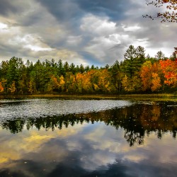 Amazing Fall Foliage in Rainbow New England Glory of NH