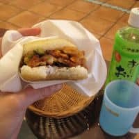 Japan, Day 3: Rice Balls, Temples, and Beyond!