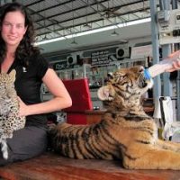 Elephants, a Leopard Cub, and the River Kwai