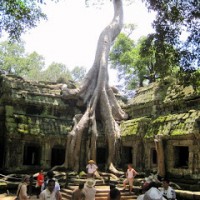 Mother Love: Angkor Wat, Part 2