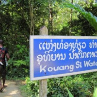 How Do You Know Where to Go?