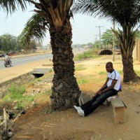 Starting to Understand Accra… and Staying Legal