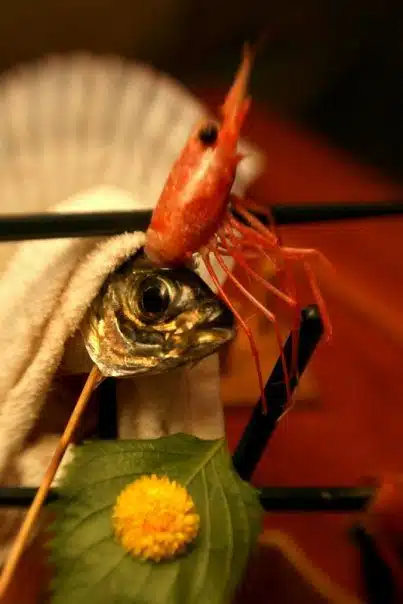 The fish with a shrimp hat!