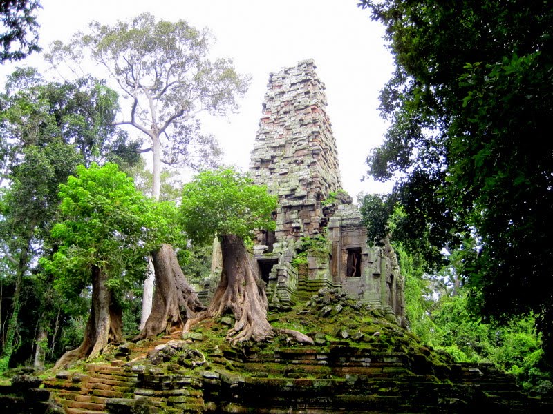 A tree temple at Angkor Wat.