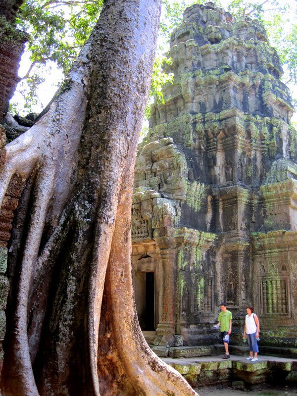 The temple echoes the tree shape.
