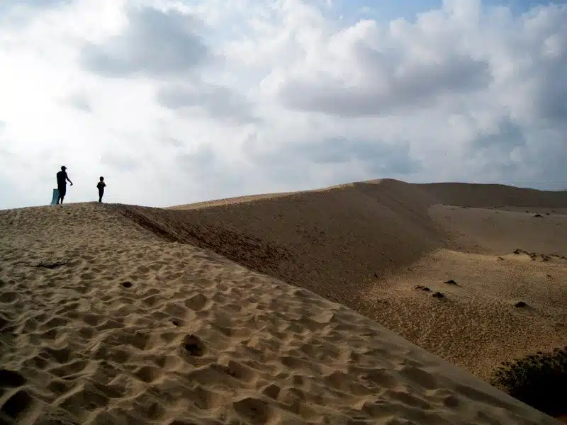 Sand dunes are gorgeous.
