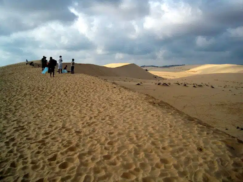 Sun-dappled sand dunes.