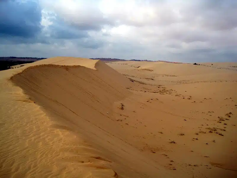 Sand looking like waves of water.