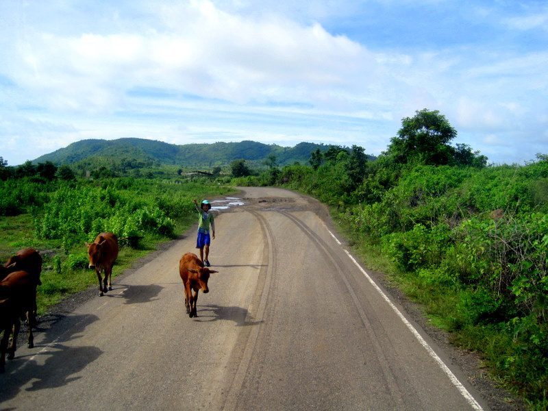 A smoother part of the Mui Ne to Dalat route.