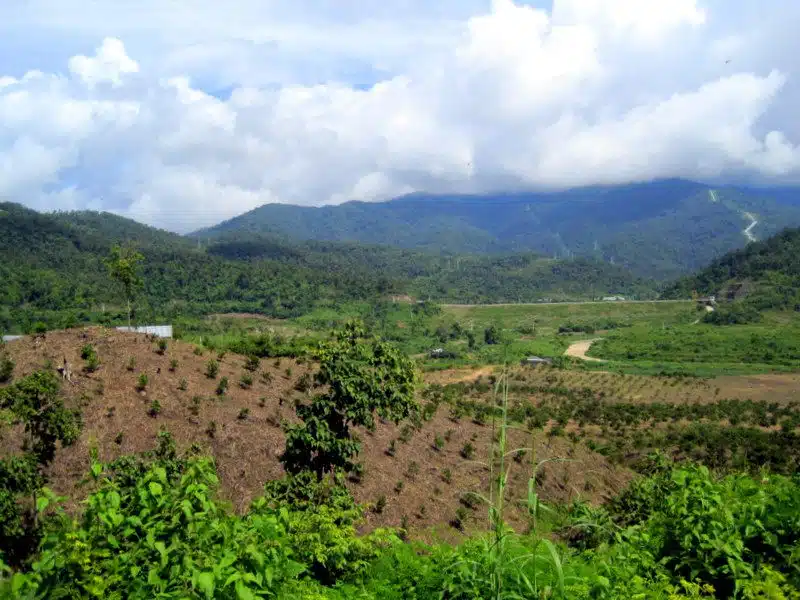 A view between Mui Ne and Dalat.