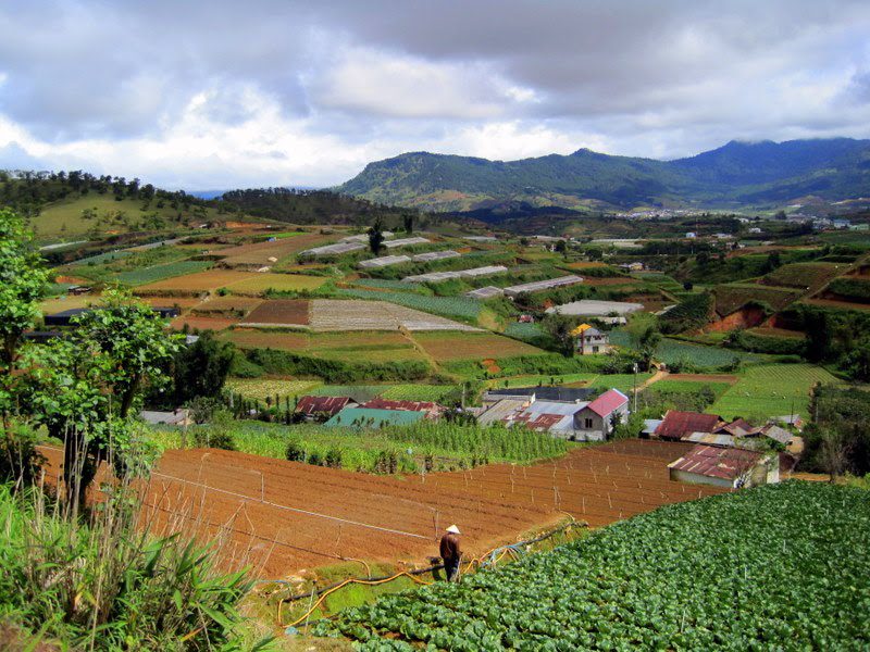 Fields in Dalat, Vietnam.