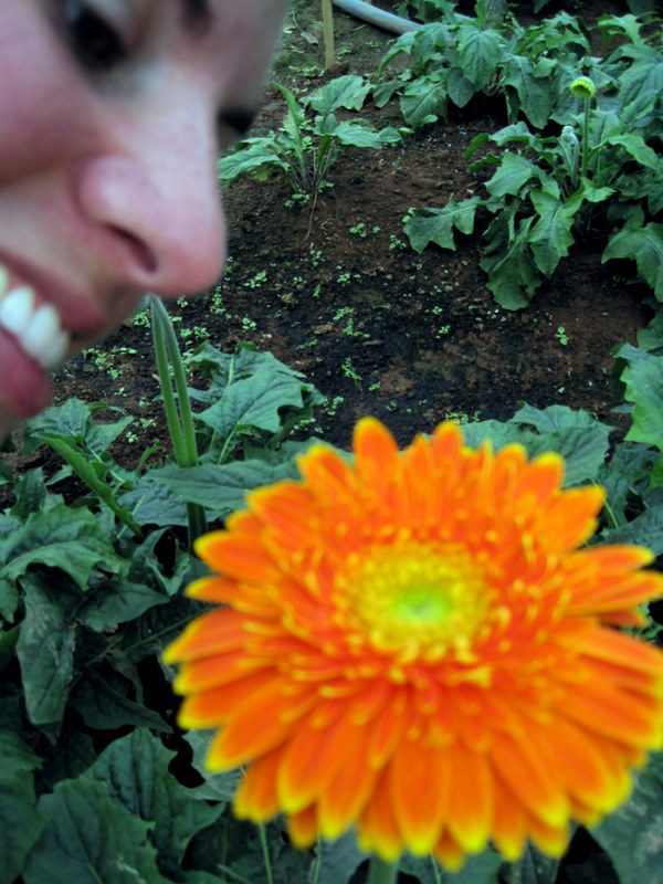 Appreciating a flower in Vietnam.