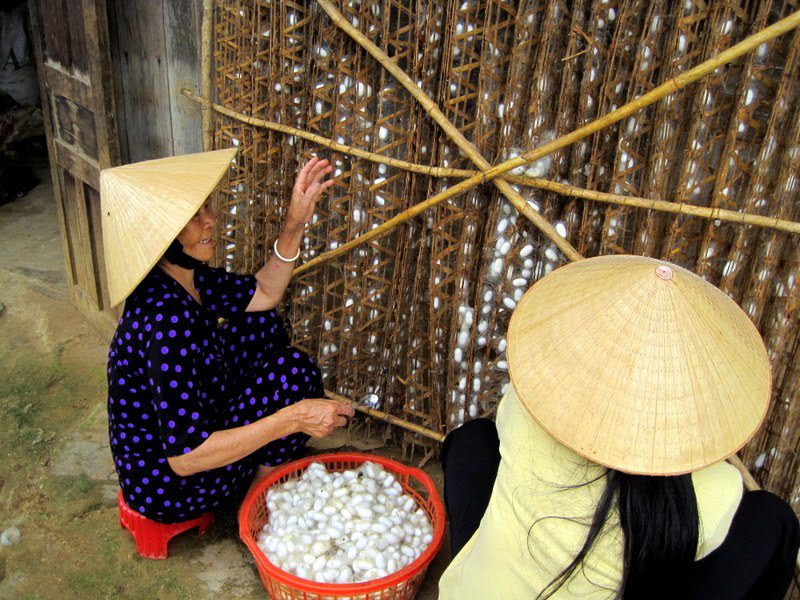 A silk worm den in Central Vietnam.