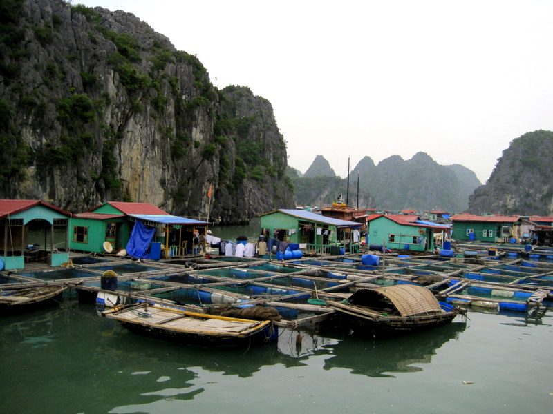 Floating towns in Vietnam's Ha Long Bay.