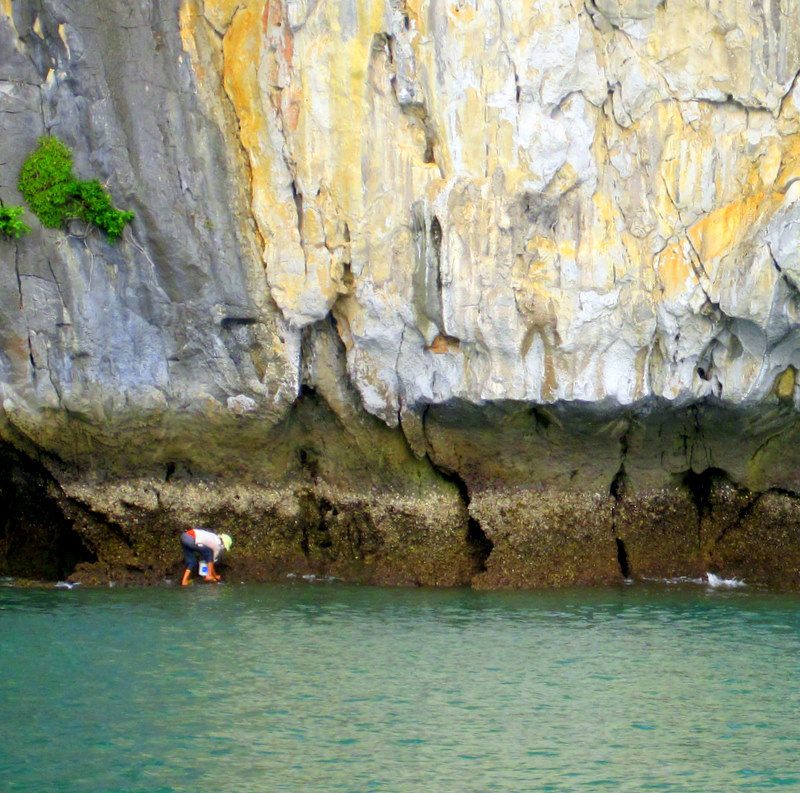 A Ha Long Bay cliff.