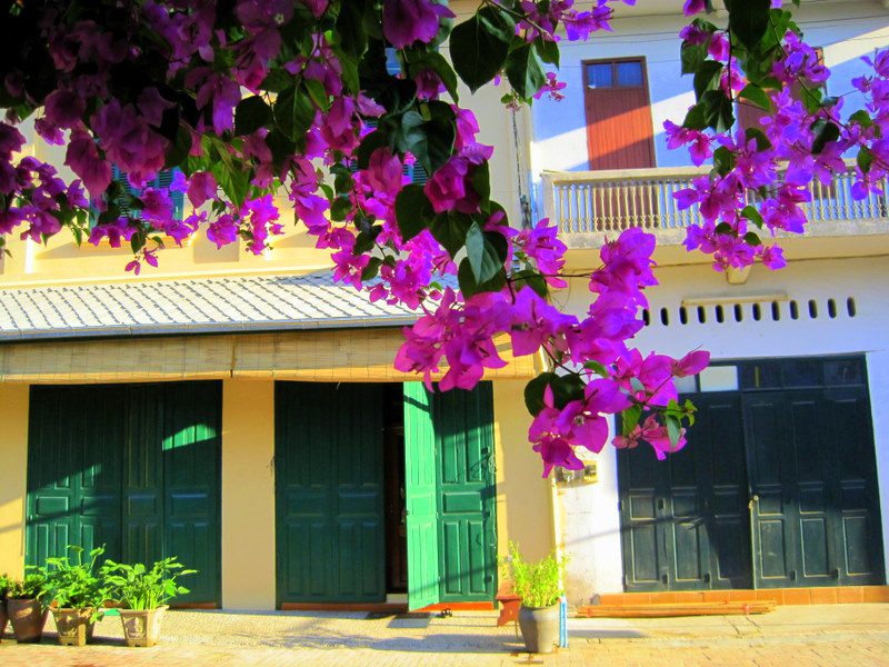 Flowers and colorful houses in Laos.