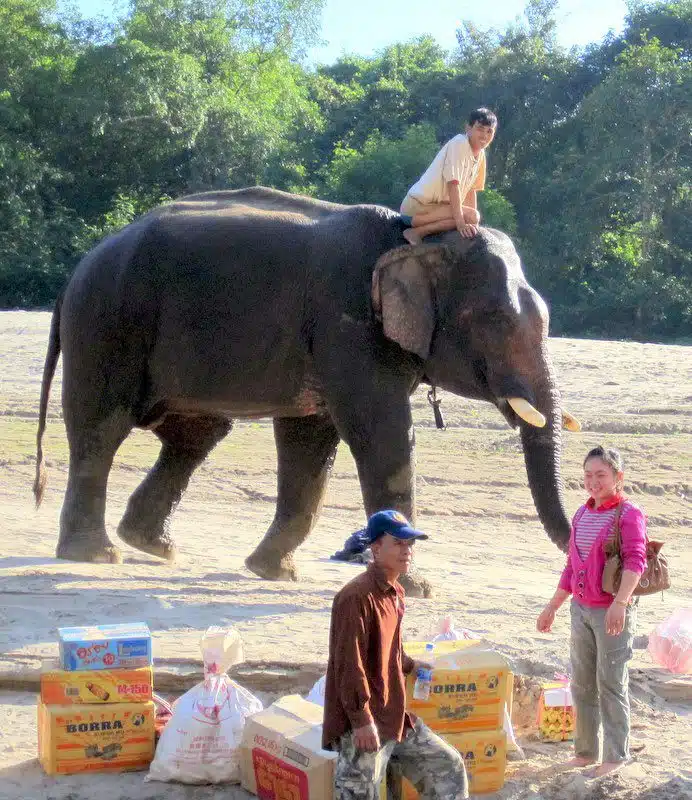 Holding on to the elephant like I held on to my book.
