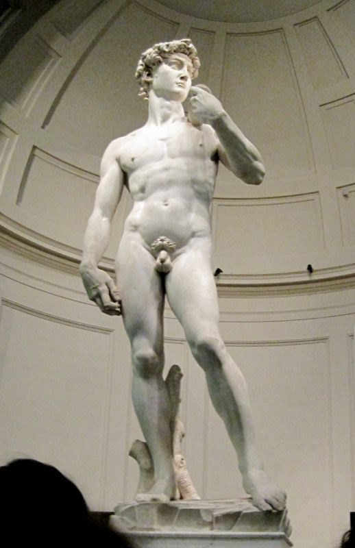 The beautiful David statue by Michelangelo.