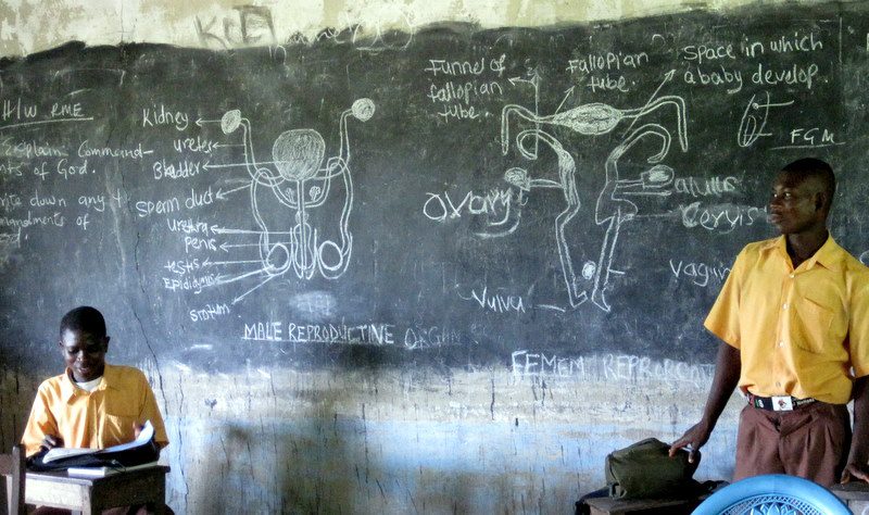 Human diagrams at a school in Ghana.