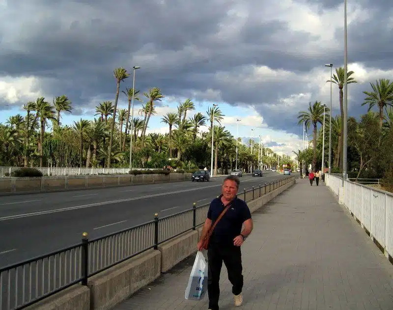 One of several dramatic bridges in Elche