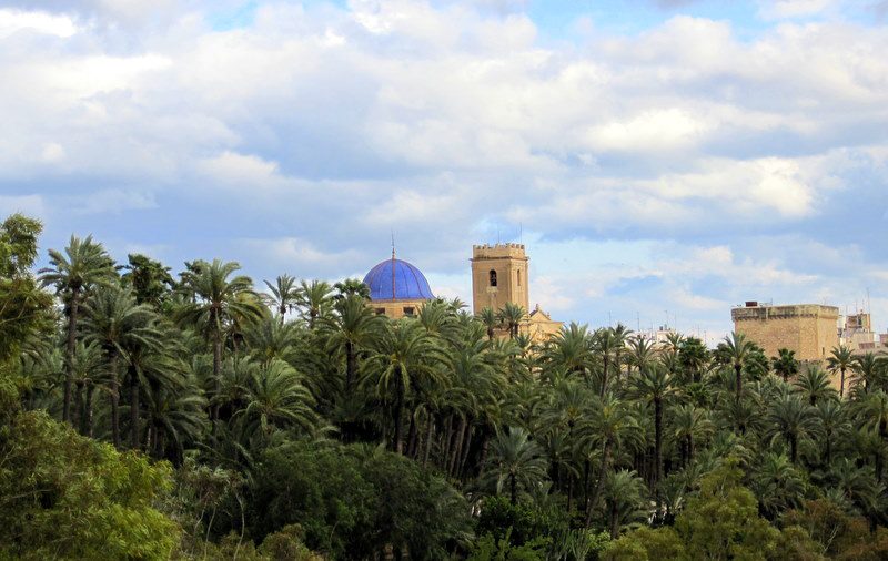 The famous Palm Forest of Elche, Spain