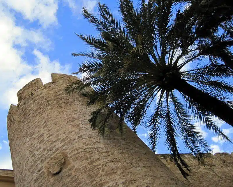 Palms and castles: that's Elche, Spain!