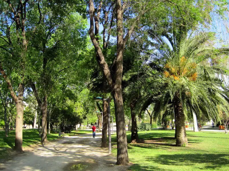 Walking through the park in Valencia.