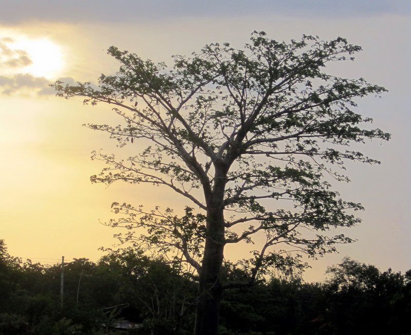 Ghana sunset