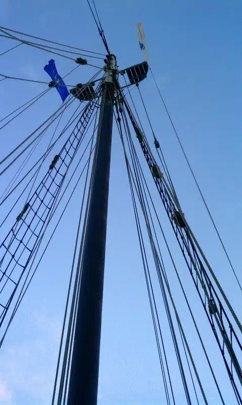Pretty mast!