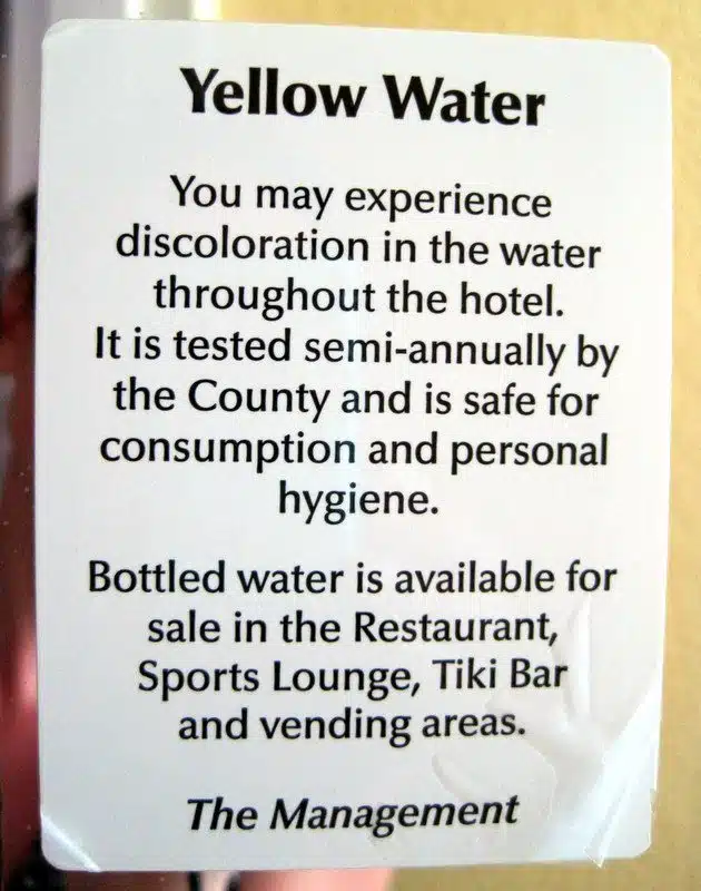 Mmm... delicious, nutritious Yellow Water...