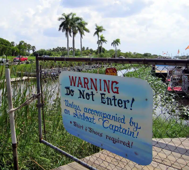 Everglades Airboat Tours: National Park Fun in Florida