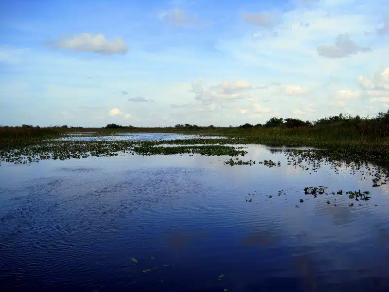 Everglades National Park FL
