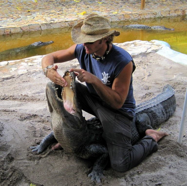 Alligator wrestling is as scary as Timeshare pitches!