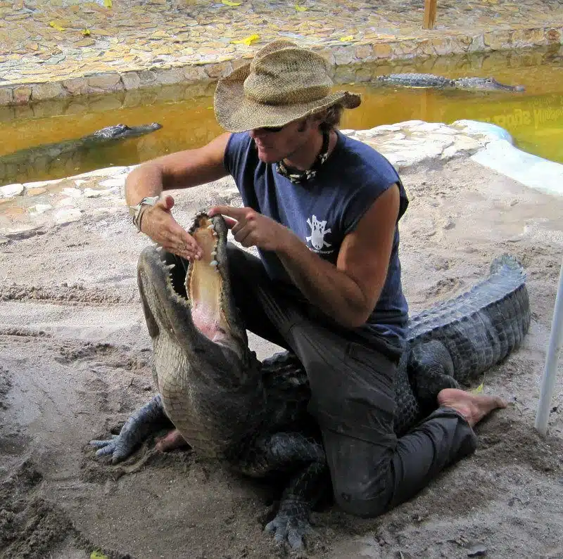 Alligator wrestling is as scary as Timeshare pitches!
